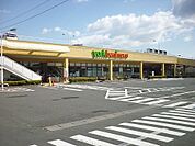 【スーパー】ヨークベニマル台新店まで900ｍ