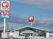【ホームセンター】コメリハード＆グリーン守山店まで250ｍ