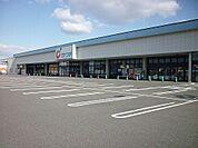 【ドラッグストア】カワチ薬品 大槻店まで750ｍ