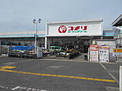 【ホームセンター】コメリハード＆グリーン御坊店様まで550ｍ