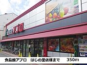【スーパー】食品館アプロはじの里店様まで350ｍ