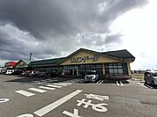 【スーパー】リオン・ドール燕北店まで900ｍ