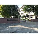 【中学校】上柴中学校まで316ｍ