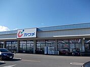 【ドラッグストア】カワチ薬品若松原店まで350ｍ
