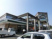 【スーパー】よかもんね城南店まで250ｍ