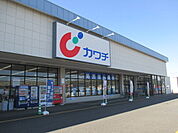 【ドラッグストア】カワチ鹿沼千渡店まで350ｍ