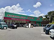 【ドラッグストア】コスモス薬品　高千穂店まで1700ｍ