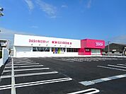 【ドラッグストア】コスモス吾田店まで1300ｍ
