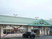 【スーパー】タイヨー都城郡元店まで1100ｍ