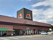 【スーパー】Ａコープ国分店まで300ｍ