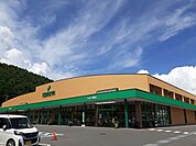 【スーパー】ツルヤ　茅野店まで1050ｍ