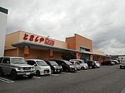 【ドラッグストア】とをしや　豊科店まで1900ｍ
