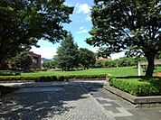 【公園】若里公園まで500ｍ