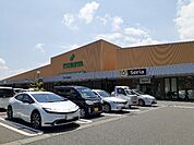 【スーパー】ツルヤ　池田店まで1500ｍ