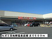 【ドラッグストア】セガミ羽曳野島泉店様まで600ｍ