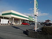 【スーパー】ポテト　中里店まで400ｍ