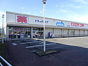 【ドラッグストア】ウエルシア　若松店まで1100ｍ