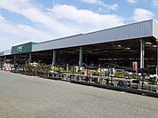 【ホームセンター】カインズホーム磐田店まで850ｍ