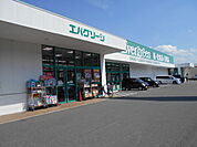 【ドラッグストア】エバーグリーン有田店様まで160ｍ