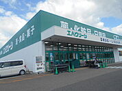 【ドラッグストア】エバグリーン御坊店様まで850ｍ