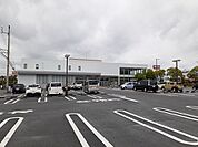 【ドラッグストア】チャーリー沖浜店さんまで380ｍ
