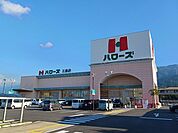 【スーパー】ハローズ三島店まで584ｍ