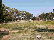【公園】松の木公園まで1200ｍ