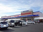 【スーパー】マルナカ西条氷見店様まで2700ｍ