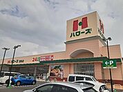 【スーパー】ハローズ西条店様まで650ｍ