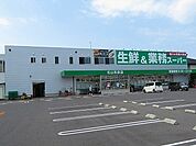 【スーパー】業務スーパー松山和泉店様まで500ｍ