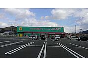 【ドラッグストア】ドラッグストアコスモス 宿毛店まで450ｍ