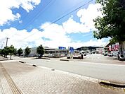 【ホームセンター】ホームセンターコーナン 須崎店まで1200ｍ