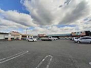 【スーパー】マルナカ 土佐店まで500ｍ