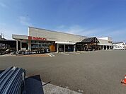 【ホームセンター】ホームセンター マルニ 朝倉店まで1100ｍ