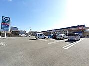 【ドラッグストア】よどやドラッグ 高知福井店まで240ｍ
