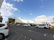 【ホームセンター】コーナン高知駅前店まで3100ｍ