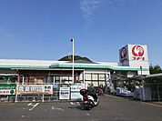 【ホームセンター】コメリハード&グリーン  郡店まで600ｍ