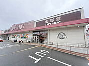 【スーパー】ハローデイ 志免店まで1300ｍ