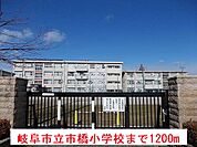 【小学校】岐阜市立市橋小学校まで1200ｍ