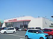 しまむら中畝店まで600ｍ
