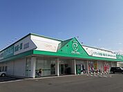 【ドラッグストア】ザグザグ白石店まで700ｍ