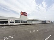 【ホームセンター】DCM真正店まで450ｍ