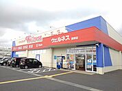 【ドラッグストア】ウェルネス国府店まで1400ｍ