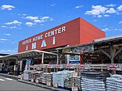 【ホームセンター】いない境港店まで1100ｍ