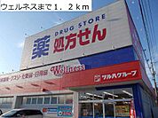 【ドラッグストア】ウェルネスまで1200ｍ