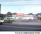 【ドラッグストア】ウエルネス大田中央店まで800ｍ