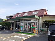 【その他】大阪屋さんまで140ｍ