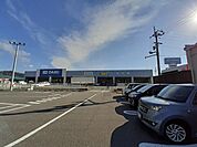 【ホームセンター】DCMダイキ のいち店まで1400ｍ