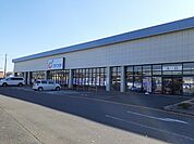 【ドラッグストア】カワチ薬品石下店まで1690ｍ