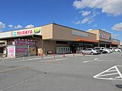 【スーパー】エコスＴＡＩＲＡＹＡ上三川店まで2100ｍ